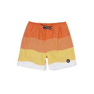 NEW FEATHER 4 ARROW boy's wave stripe volley swim trunk in melon
